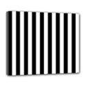 Deluxe Canvas 24  x 20  (Stretched) 