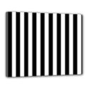 Canvas 20  x 16  (Stretched) 