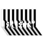 Vertical Stripes - White and Black PARTY 3D Greeting Card (8x4)