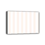 Vertical Stripes - White and Seashell Mini Canvas 6  x 4  (Stretched)