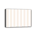 Mini Canvas 6  x 4  (Stretched) 