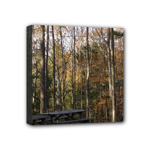 Pa Grand Canyon East Rim Trees 8 Mini Canvas 4  x 4  (Stretched) from ArtsNow.com