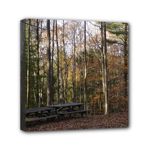 Pa Grand Canyon East Rim Trees 8 Mini Canvas 6  x 6  (Stretched) from ArtsNow.com