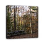 Pa Grand Canyon East Rim Trees 8 Mini Canvas 6  x 6  (Stretched)