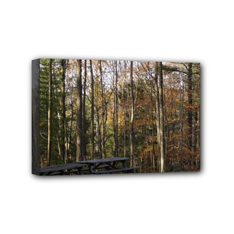Pa Grand Canyon East Rim Trees 8 Mini Canvas 6  x 4  (Stretched) from ArtsNow.com