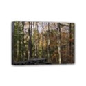 Mini Canvas 6  x 4  (Stretched) 