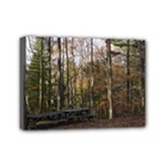 Pa Grand Canyon East Rim Trees 8 Mini Canvas 7  x 5  (Stretched)