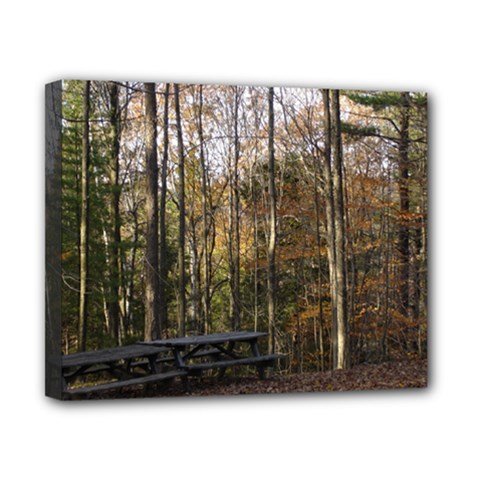 Pa Grand Canyon East Rim Trees 8 Canvas 10  x 8  (Stretched) from ArtsNow.com