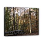 Pa Grand Canyon East Rim Trees 8 Canvas 10  x 8  (Stretched)