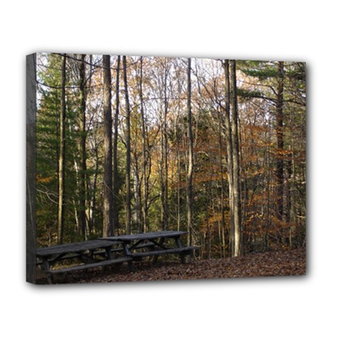Pa Grand Canyon East Rim Trees 8 Canvas 14  x 11  (Stretched) from ArtsNow.com