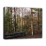 Pa Grand Canyon East Rim Trees 8 Canvas 14  x 11  (Stretched)