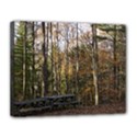 Canvas 14  x 11  (Stretched) 