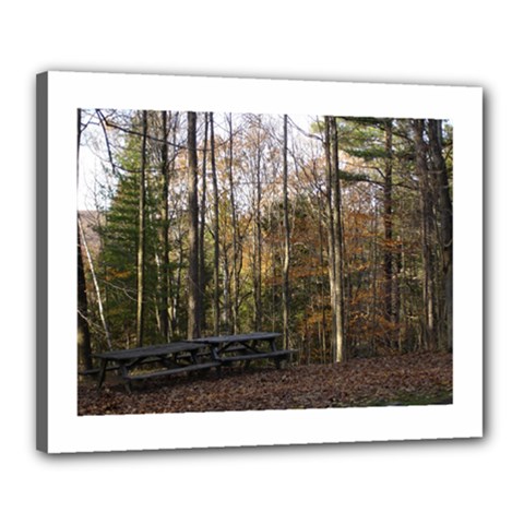 Pa Grand Canyon East Rim Trees 8 Canvas 20  x 16  (Stretched) from ArtsNow.com