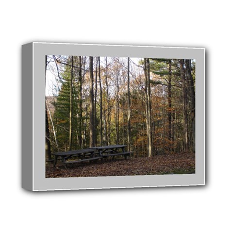 Pa Grand Canyon East Rim Trees 8 Deluxe Canvas 14  x 11  (Stretched) from ArtsNow.com