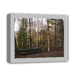 Pa Grand Canyon East Rim Trees 8 Deluxe Canvas 14  x 11  (Stretched)