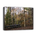 Pa Grand Canyon East Rim Trees 8 Deluxe Canvas 16  x 12  (Stretched) 