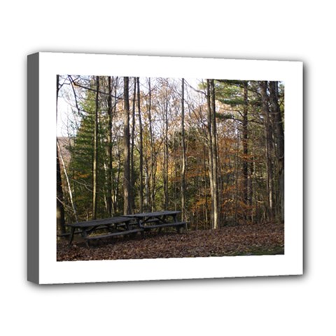Pa Grand Canyon East Rim Trees 8 Deluxe Canvas 20  x 16  (Stretched) from ArtsNow.com