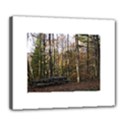 Deluxe Canvas 24  x 20  (Stretched) 