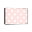 Mini Canvas 6  x 4  (Stretched) 