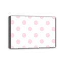 Mini Canvas 6  x 4  (Stretched) 