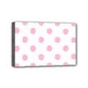 Mini Canvas 6  x 4  (Stretched) 
