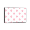 Mini Canvas 6  x 4  (Stretched) 