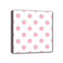 Mini Canvas 4  x 4  (Stretched) 