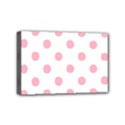 Mini Canvas 6  x 4  (Stretched) 