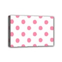 Mini Canvas 6  x 4  (Stretched) 