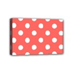 Polka Dots - White on Pastel Red Mini Canvas 6  x 4  (Stretched)