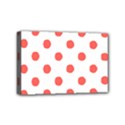 Mini Canvas 6  x 4  (Stretched) 