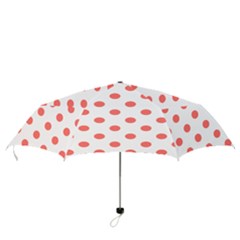 Folding Umbrella 
