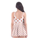 Skater Dress Swimsuit 