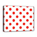Deluxe Canvas 20  x 16  (Stretched) 