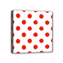 Mini Canvas 4  x 4  (Stretched) 
