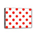 Mini Canvas 7  x 5  (Stretched) 