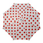 Polka Dots - Ferrari Red on White Golf Umbrella
