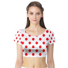 Short Sleeve Crop Top 