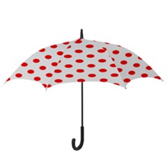 Hook Handle Umbrella (Large) 