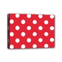 Mini Canvas 7  x 5  (Stretched) 