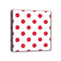 Mini Canvas 4  x 4  (Stretched) 