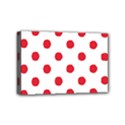 Mini Canvas 6  x 4  (Stretched) 