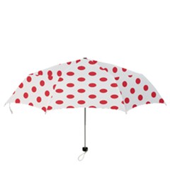Folding Umbrella 