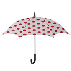 Hook Handle Umbrella (Large) 