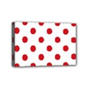 Mini Canvas 6  x 4  (Stretched) 