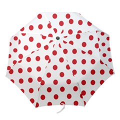 Folding Umbrella 