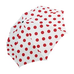 Folding Umbrella 
