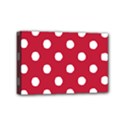 Mini Canvas 6  x 4  (Stretched) 