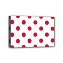 Mini Canvas 6  x 4  (Stretched) 