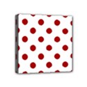 Mini Canvas 4  x 4  (Stretched) 